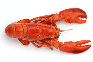 Shellfish - Advanced Allergy Therapeutics